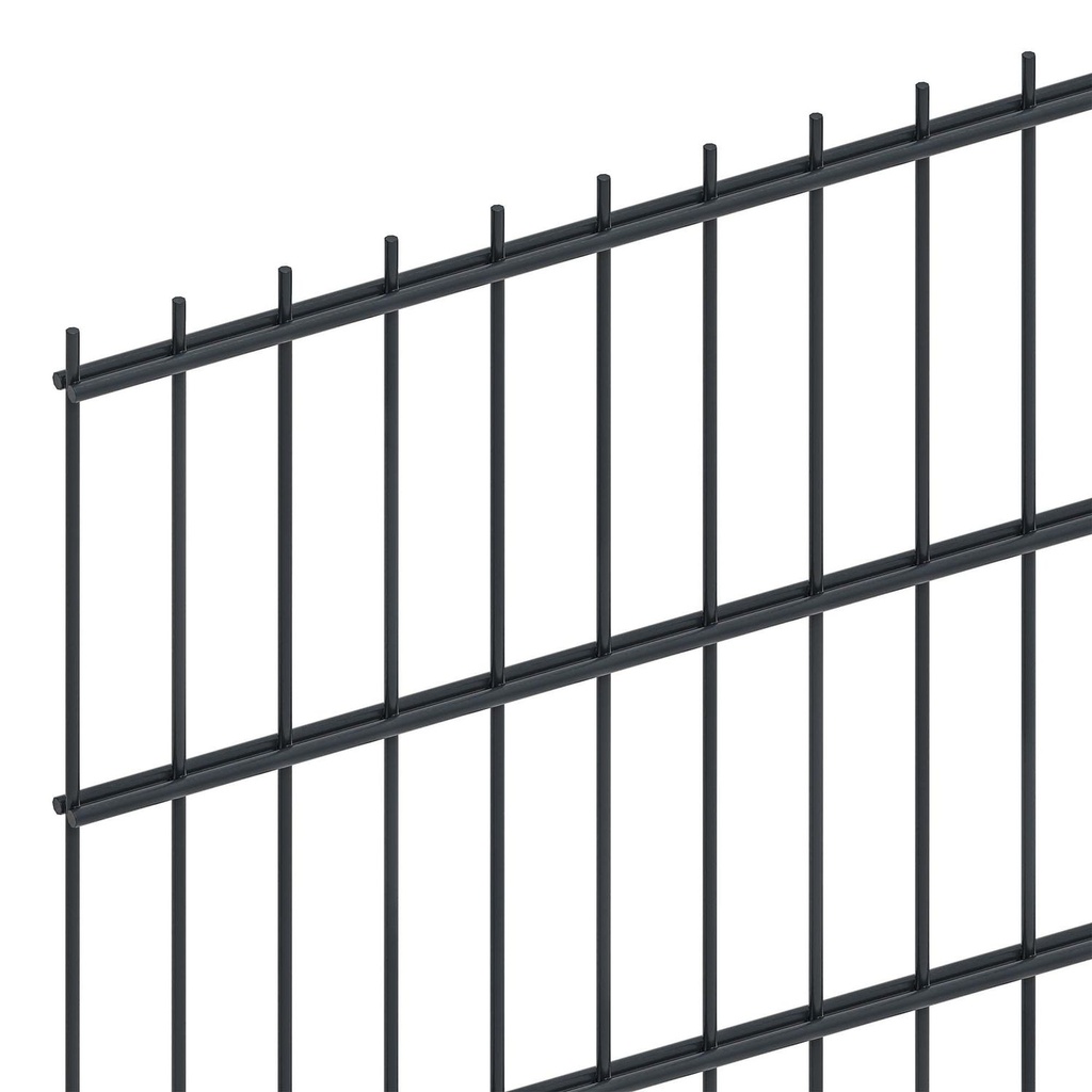 Doppelstabmatte leicht 6/5/6 mm